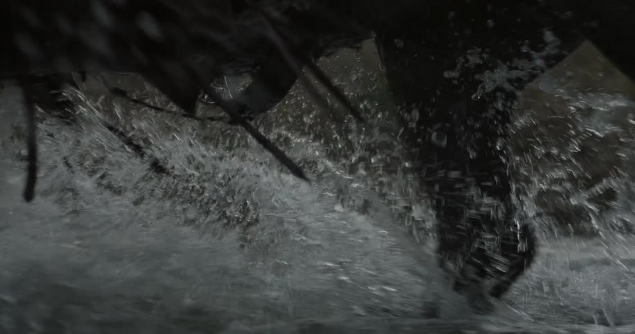 A horse is walking around in the water