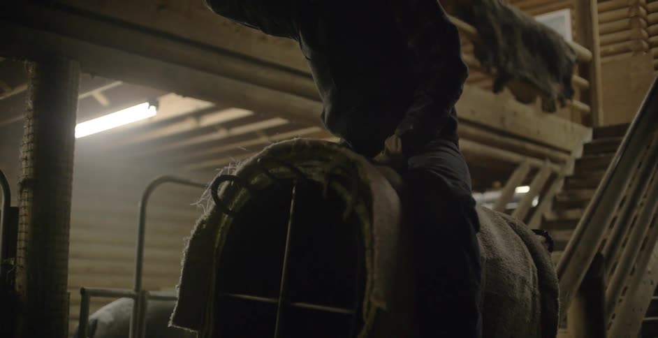Cowboy riding a mechanical bull in a barn alone