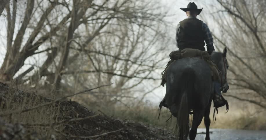 The horse moves slowly in the water down the creek