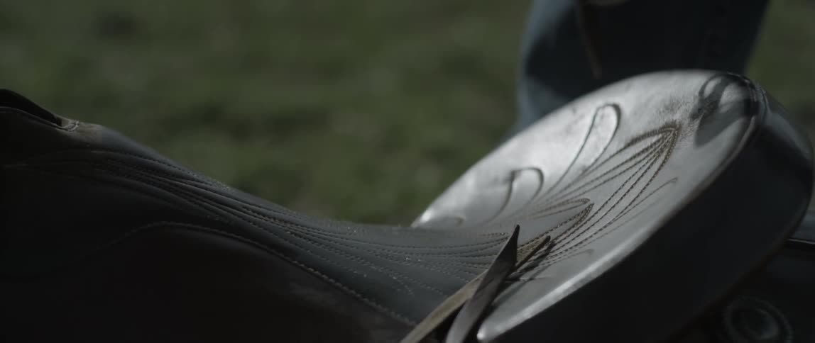 A horse bridle is placed on a saddle