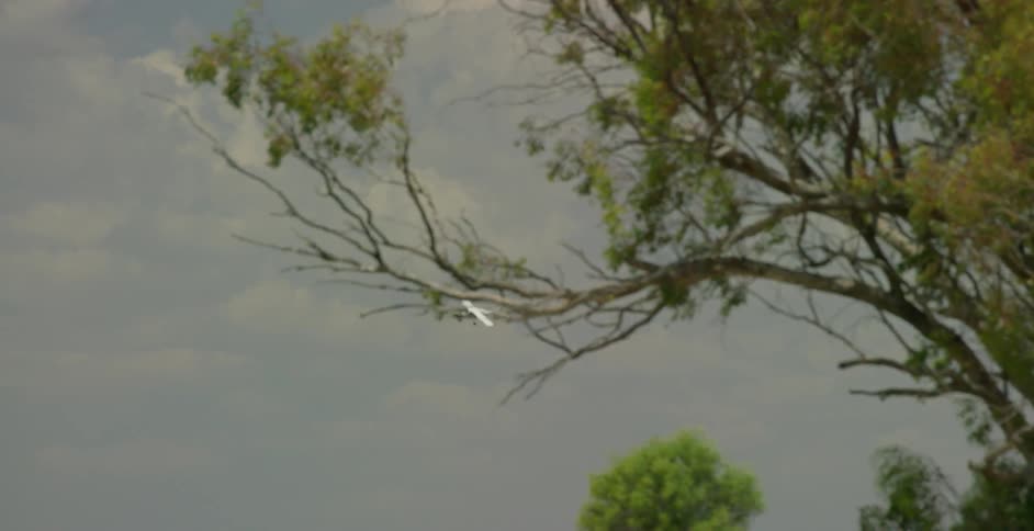 Airplane flies past trees on a cloudy day