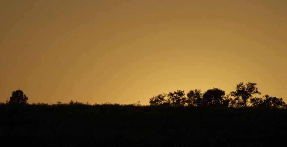 The sun sets over a rural field