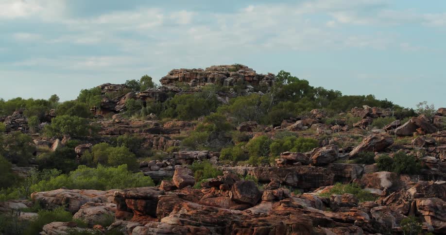 Trees on a mountain rock formation in wilderness on cloudy day