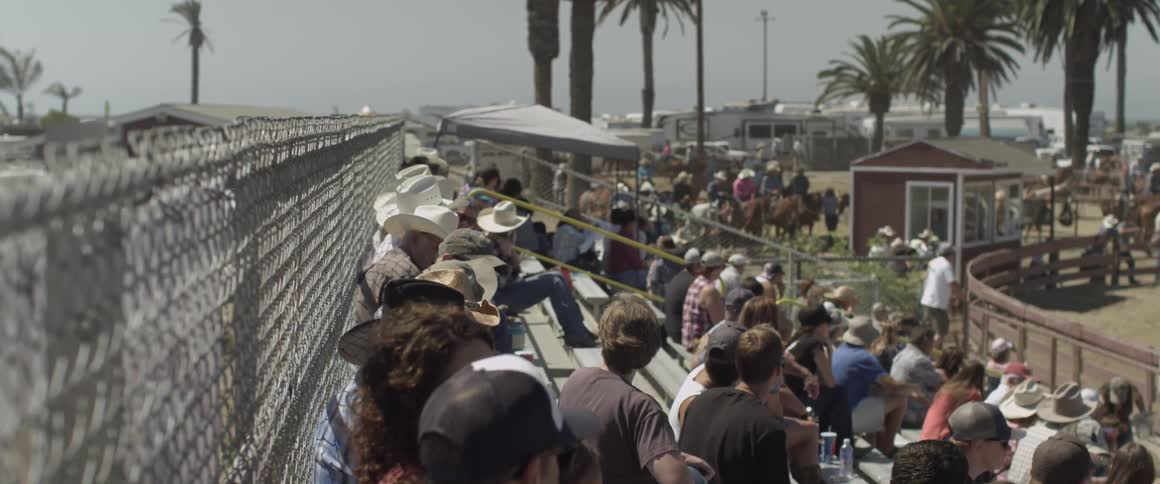 The stands are full of people watching a show