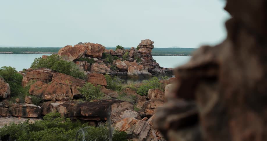 Green plants are growing among an outcrop of reddish colored rocks
