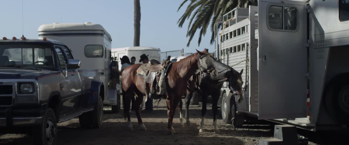 Horses are tied to a trailer