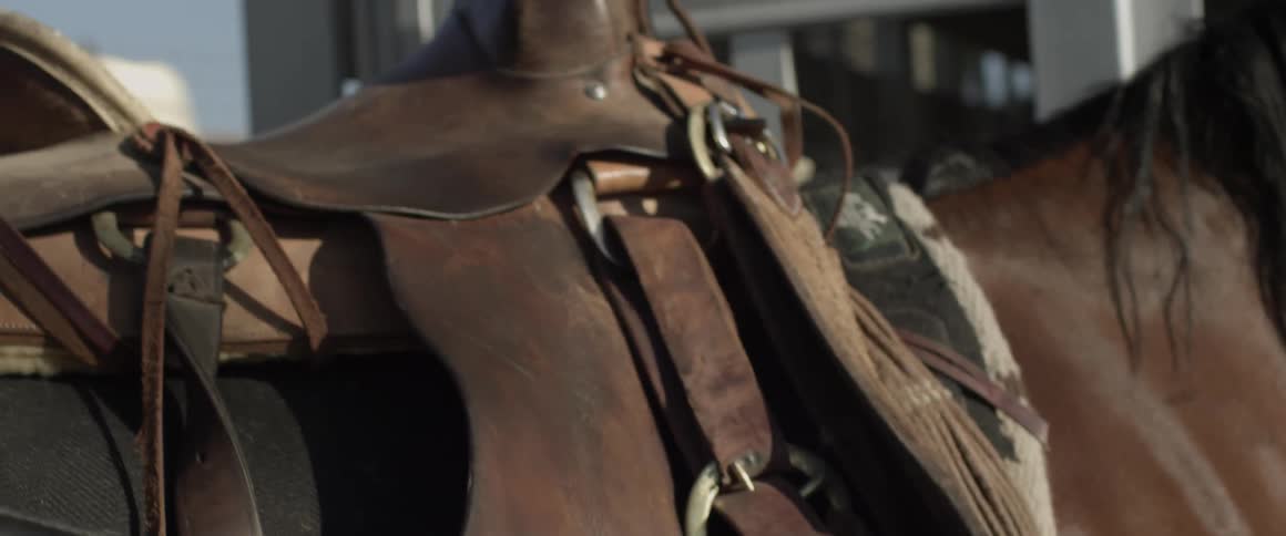 An older man is putting a saddle on a horse during the day