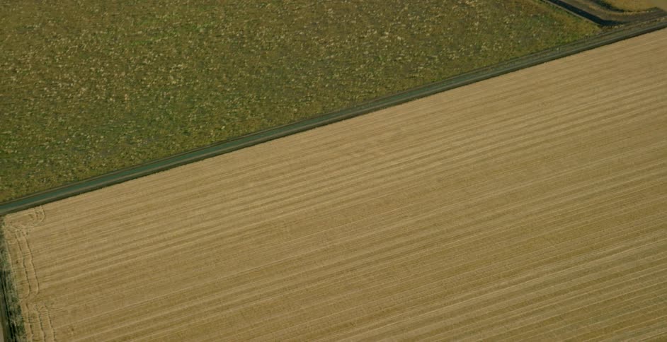 Farmland split into long rectangles of green and yellow