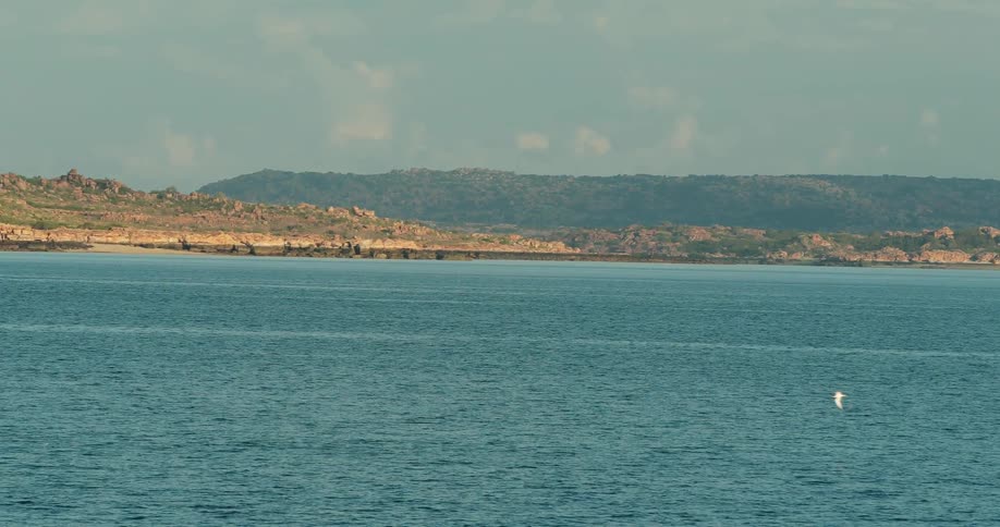 Birds flying low over a lake