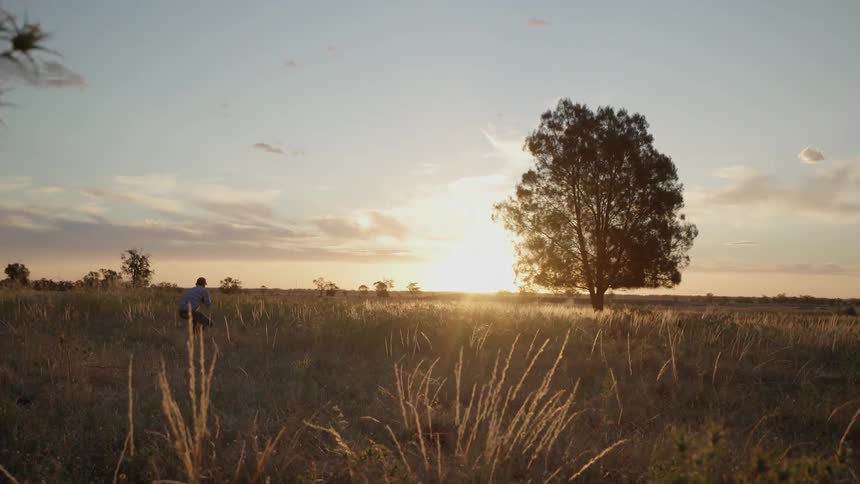 Man kneels in a field at sunset