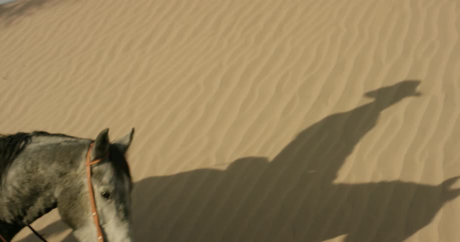 Man rides a horse in the middle of the desert