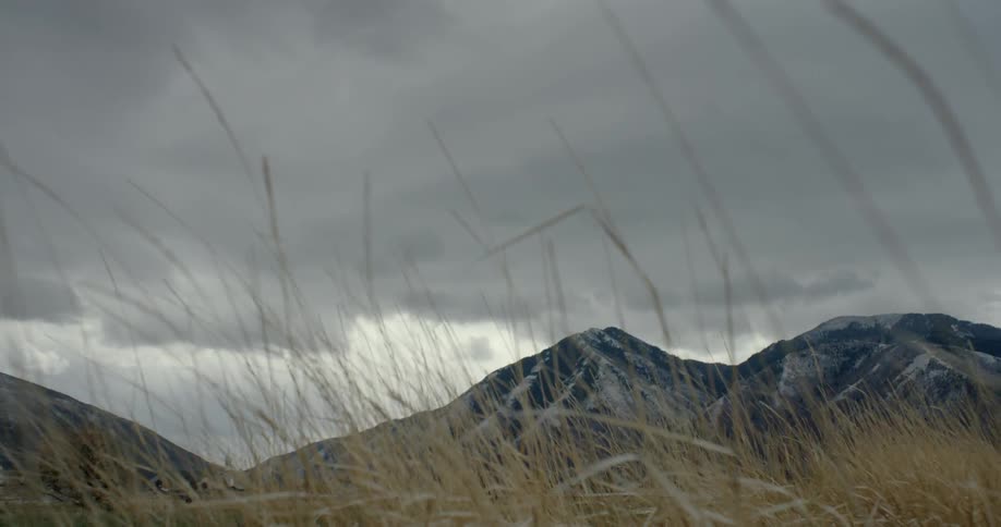 Weeds waving in front of tall mountains on a cloudy day