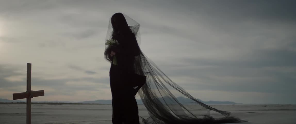 Woman wearing a long veil holds flowers in a desert