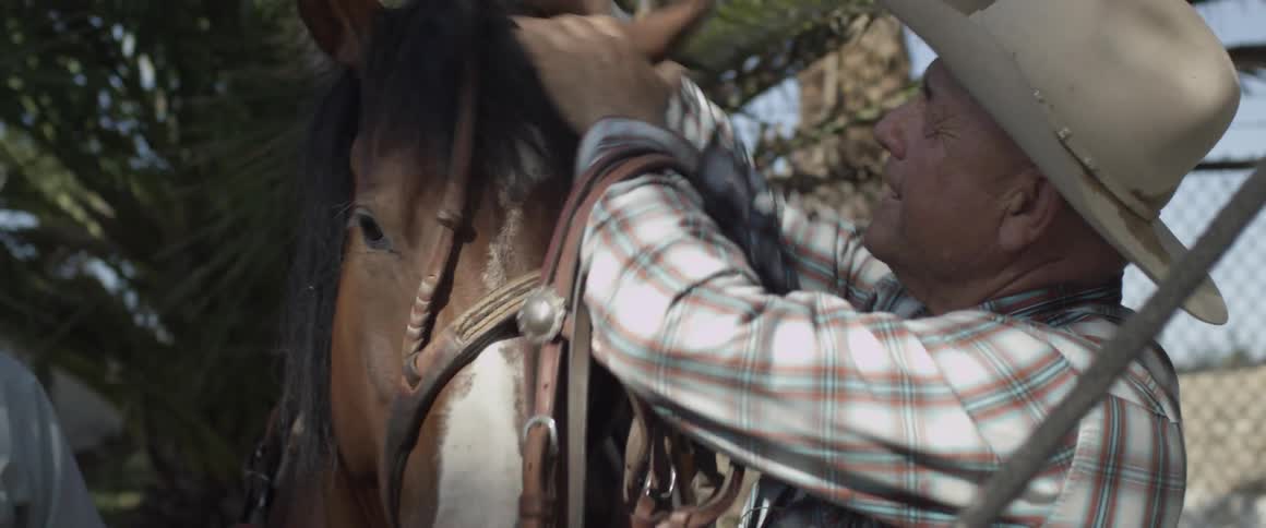 A cowboy puts a bridle on a horse