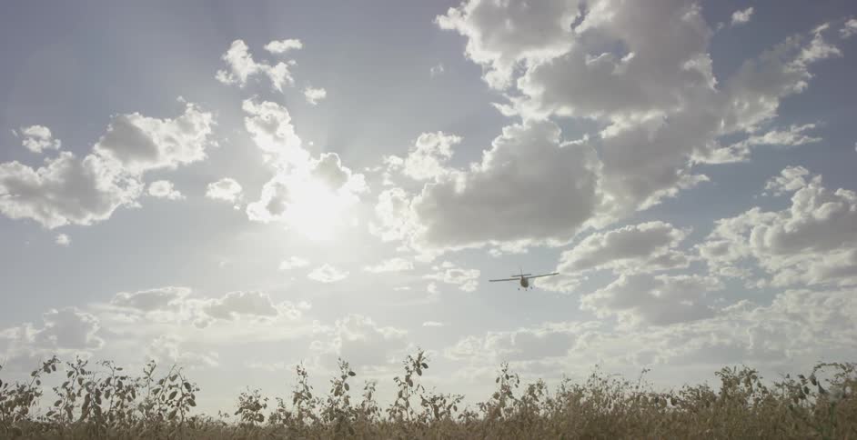 A small airplane flies over a rural field on a sunny day