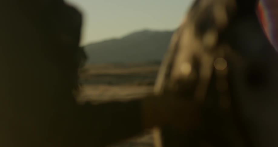 A person is brushing down his horse on the plain