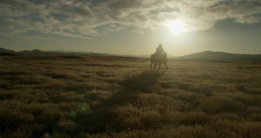 A cowboy rides a horse across a rural field at sunset
