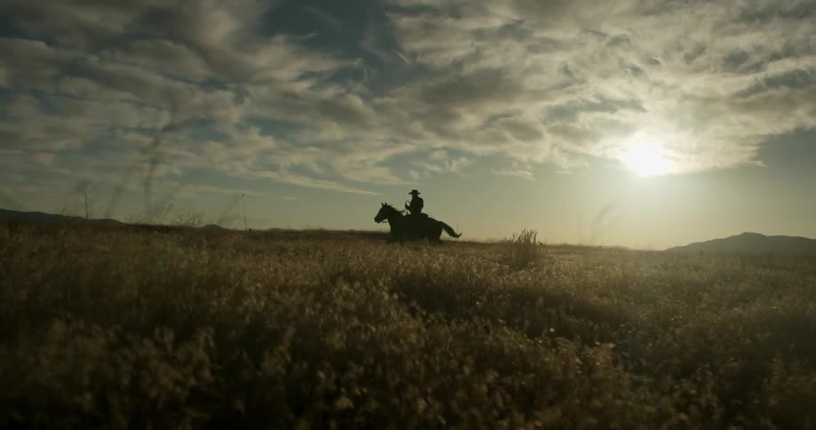 A cowboy rides a horse in a field at sunset