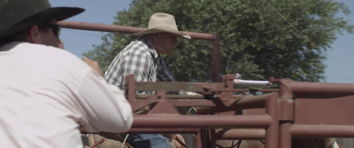 An older man rides a horse and chases a calf during a rodeo