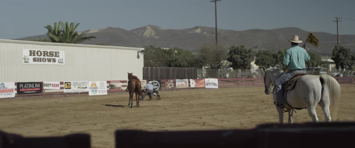 A cowboy chases and tackles a calf