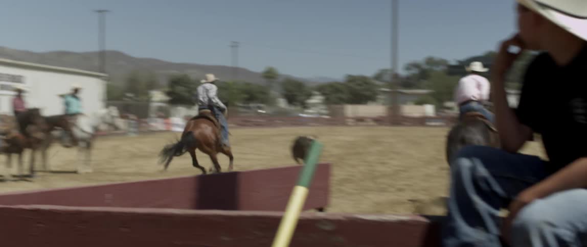 Cowboys on horseback chase after a cow at a rodeo