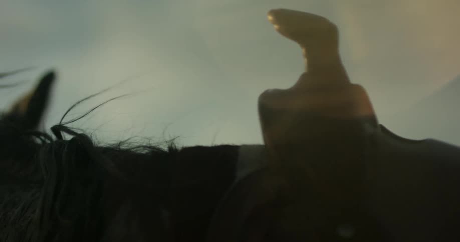 A saddled horse outside