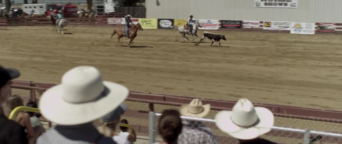 Two cowboys chase a calf in a rodeo
