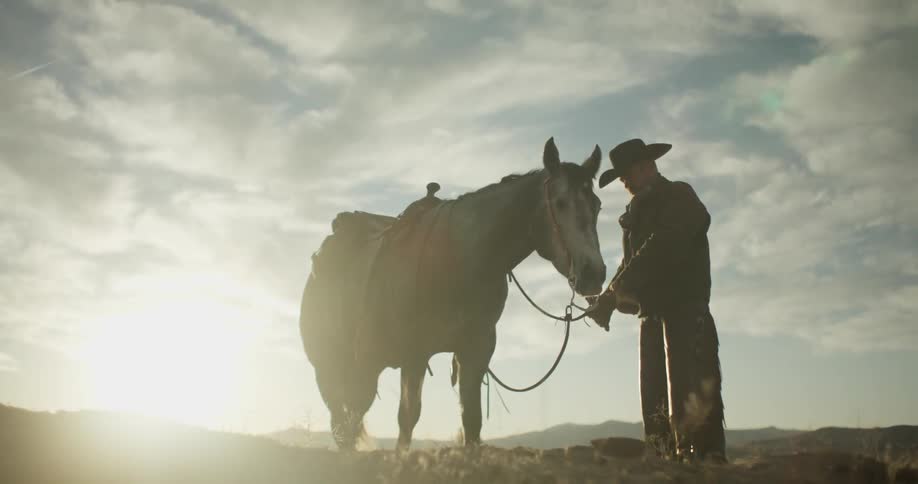 A cowboy stands next to a horse on a sunny day