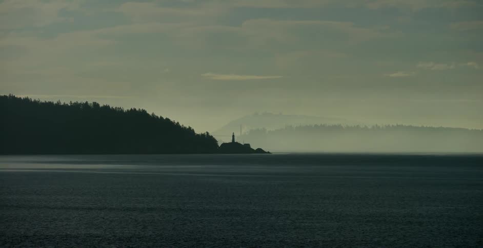 Body of water flowing near tree covered islands