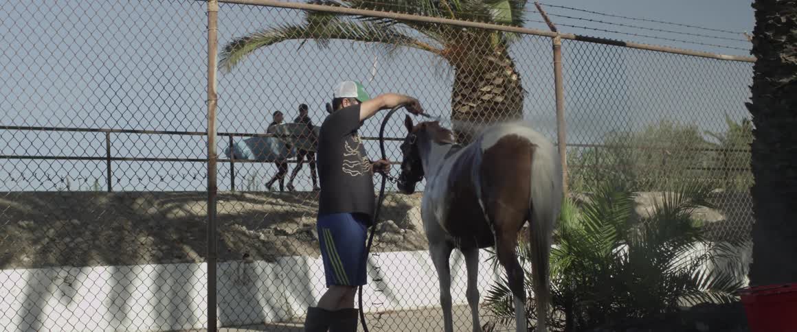 Man rinsing off horse with hose outside on windy and sunny day