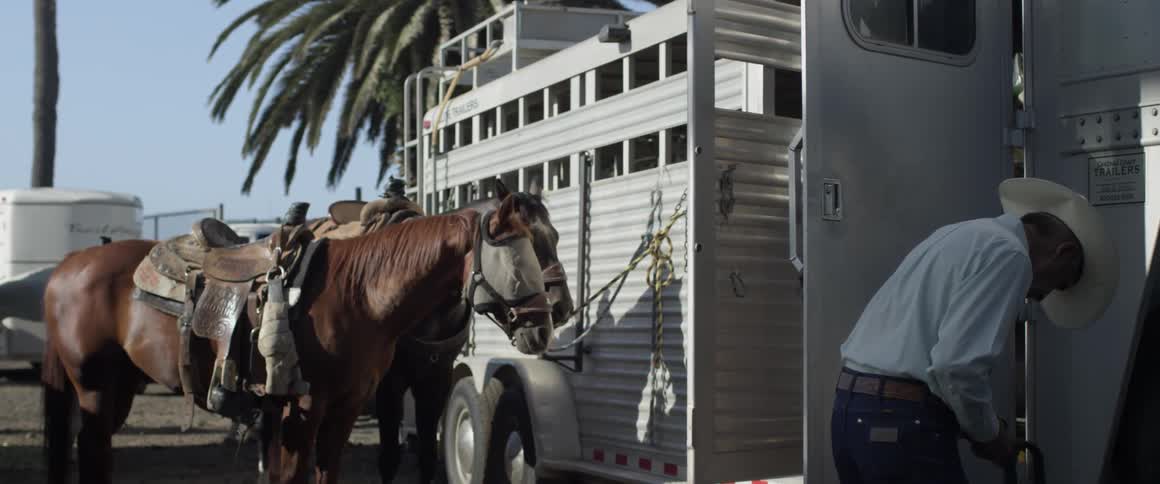 A man is looking inside a horse trailer, while the horses are tied up to it