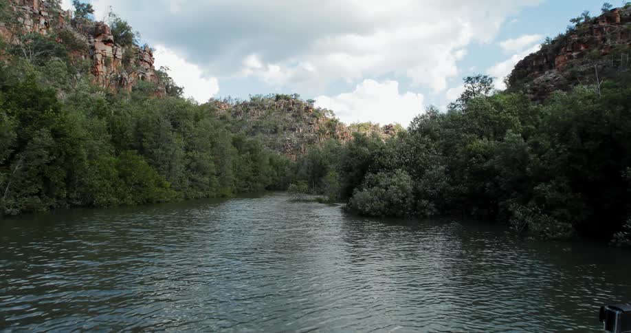 Trees line a rippling river