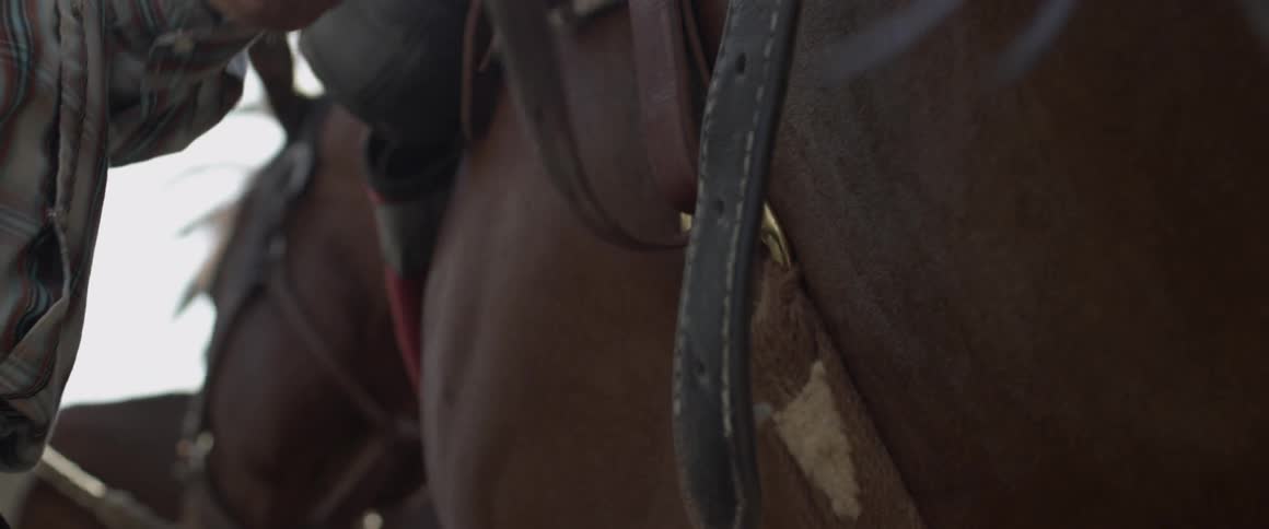 A man tightens the straps on a saddle