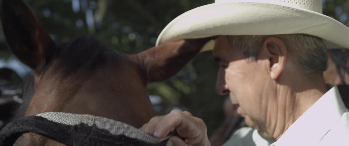 A cowboy removes a mask from a horse