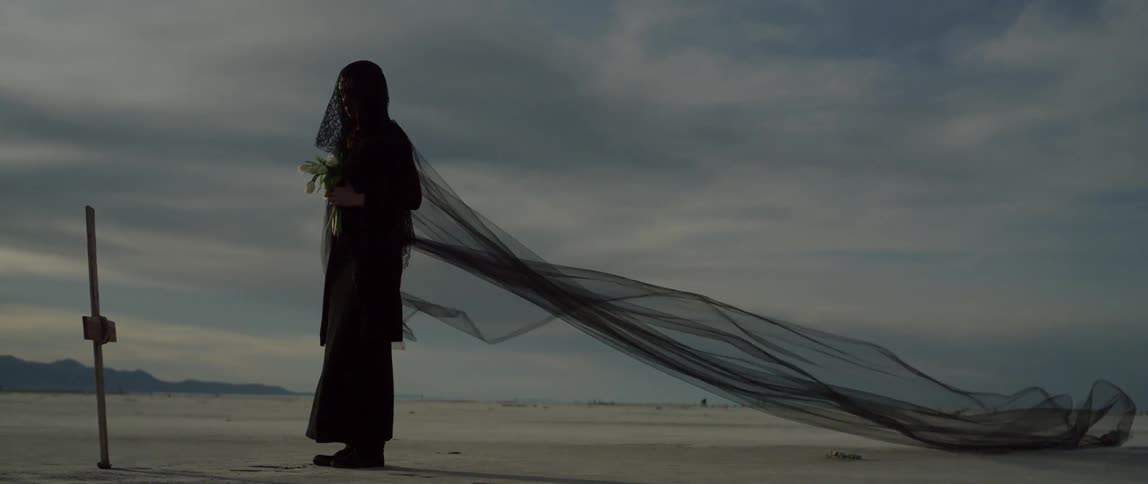 Woman wearing a long veil holds flowers in a desert