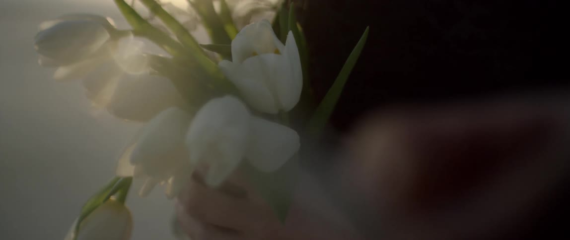 Person holding bouquet of white tulips outside in breezy day