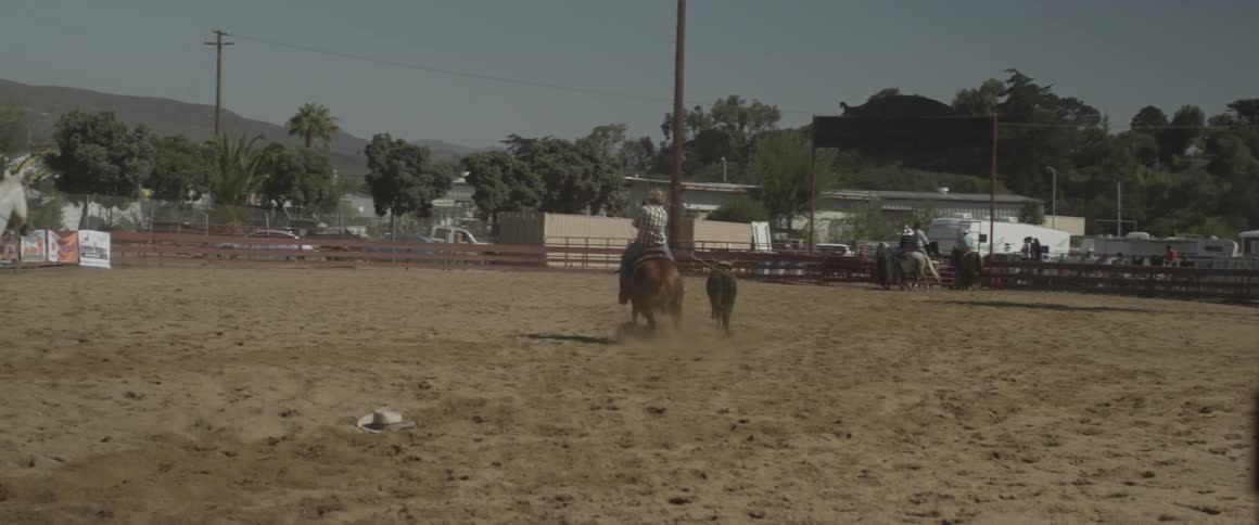 A man ropes a calf in a pen