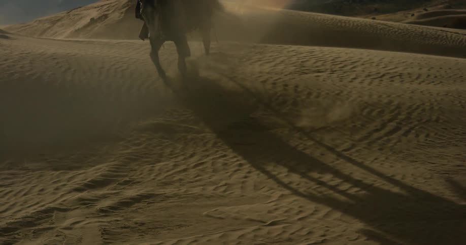 A person rides a horse through the desert