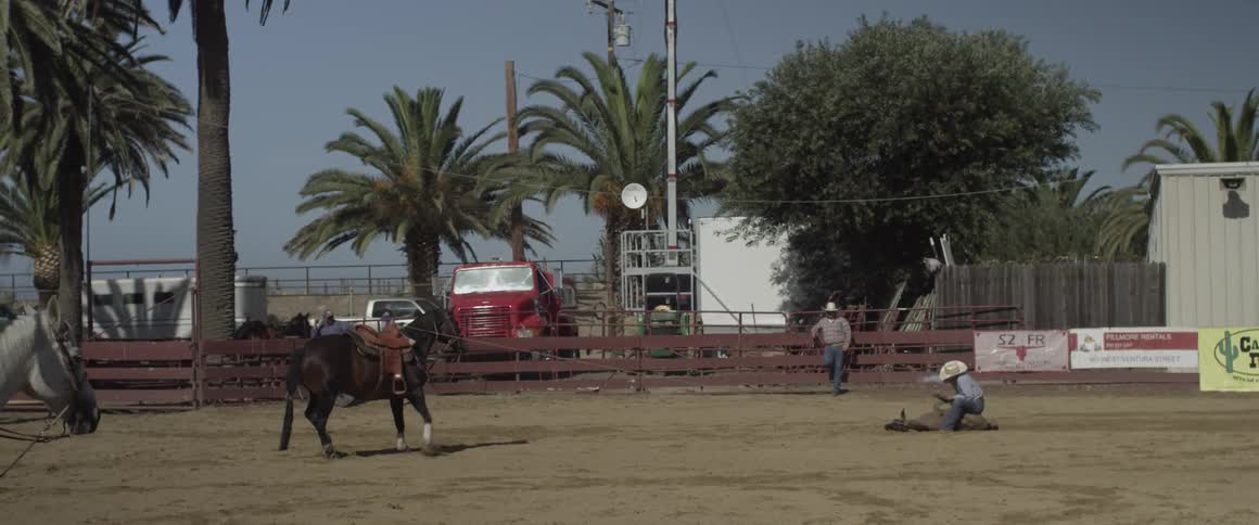 A cowboy is tying a calf in a rodeo grounds during the day