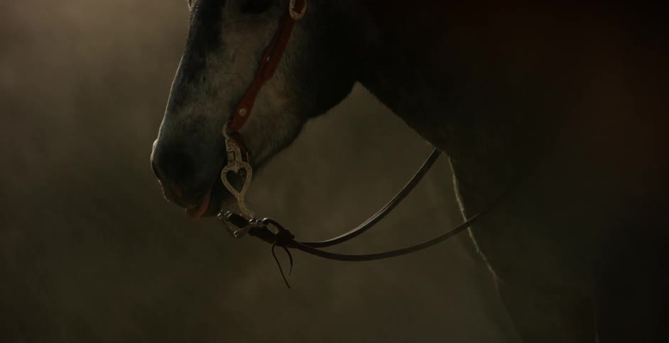 A horse stands still as the wind blows sand and dust