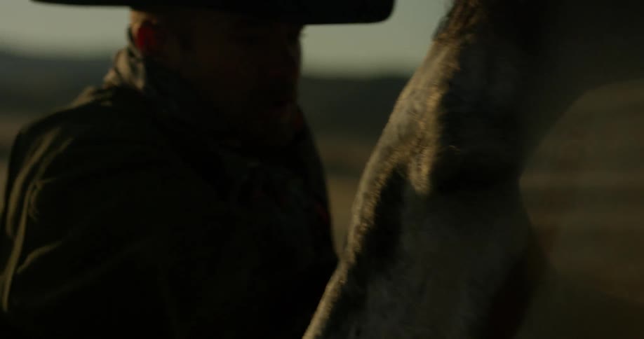 A man is grooming his horse