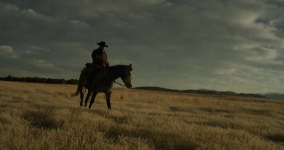 Man rides a horse in a large field