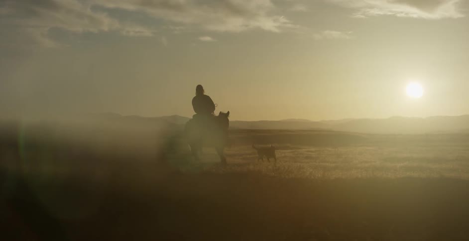 A man rides a galloping horse while a dog runs next to them