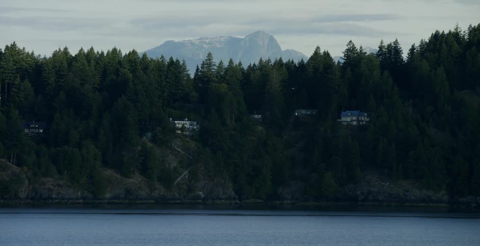 Trees next to a body of water with mountains in the background