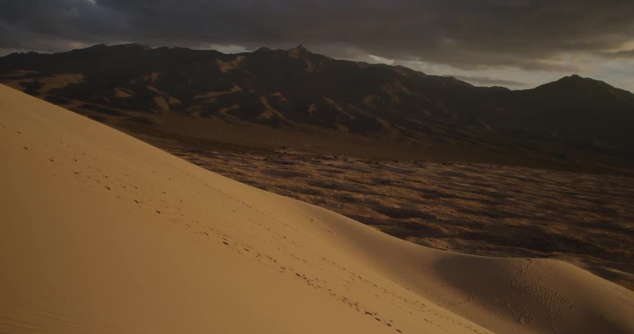 Tracks line the sand on the side of a hill
