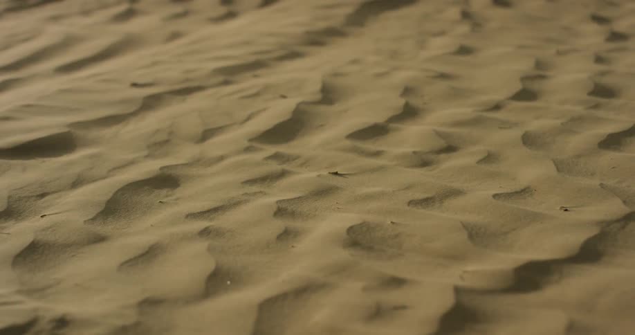 Wind blows sand over the desert