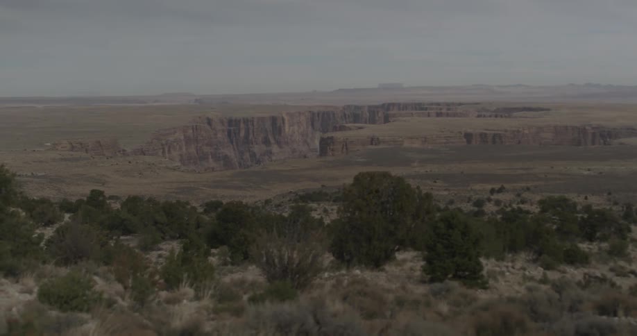 Shrubs and plants sway softly atop a canyon