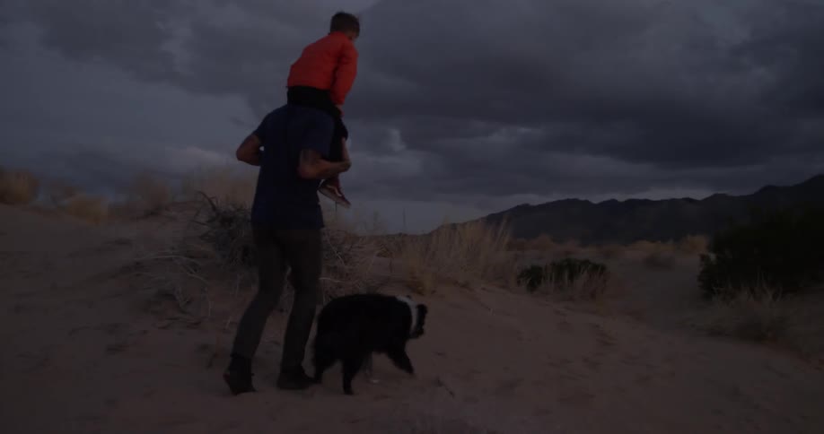 A man walks through a desert with a boy on his shoulders and a dog nearby