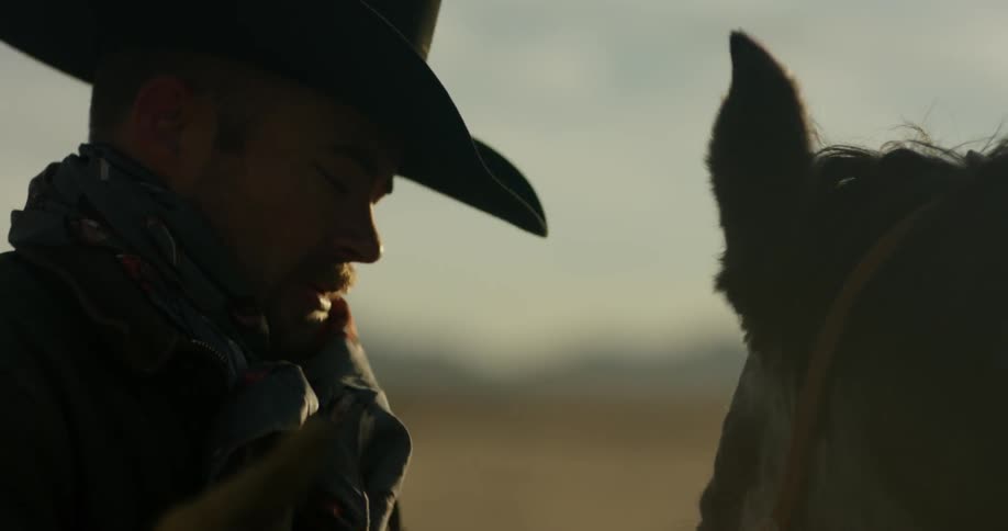 A man pets a horse outside