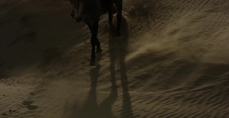 A horse moves slowly down the sand hill